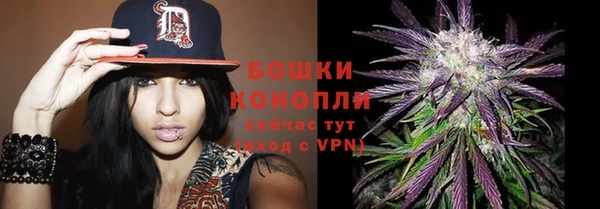 ПСИЛОЦИБИНОВЫЕ ГРИБЫ Алексеевка