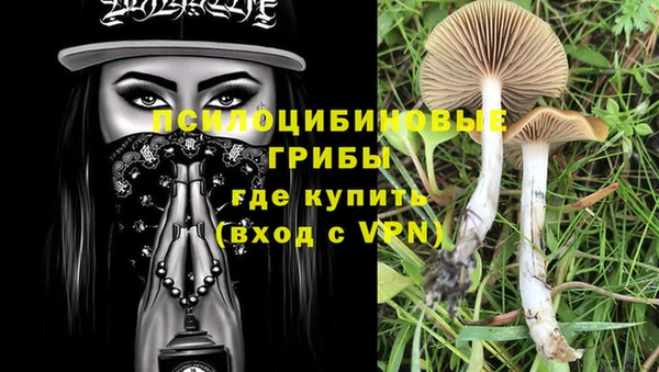 бошки Елабуга