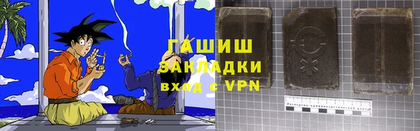 хмурый Алексин