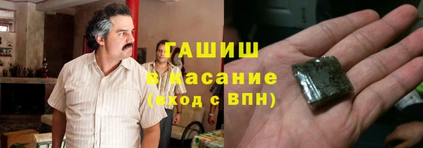 хмурый Алексин