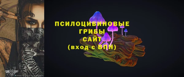 ПСИЛОЦИБИНОВЫЕ ГРИБЫ Алексеевка