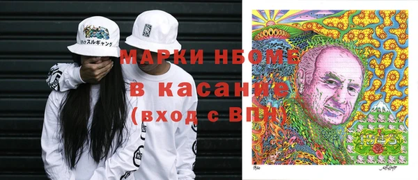 хмурый Алексин