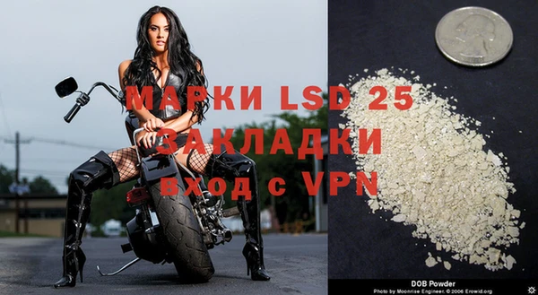 ПСИЛОЦИБИНОВЫЕ ГРИБЫ Алексеевка