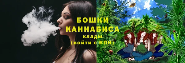 ПСИЛОЦИБИНОВЫЕ ГРИБЫ Алексеевка