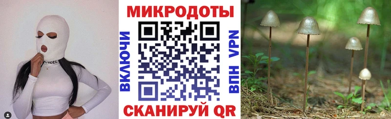 сколько стоит дарк нет официальный сайт Псилоцибиновые грибы мицелий Приморск